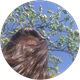 Selin Didis profil fotoğrafı