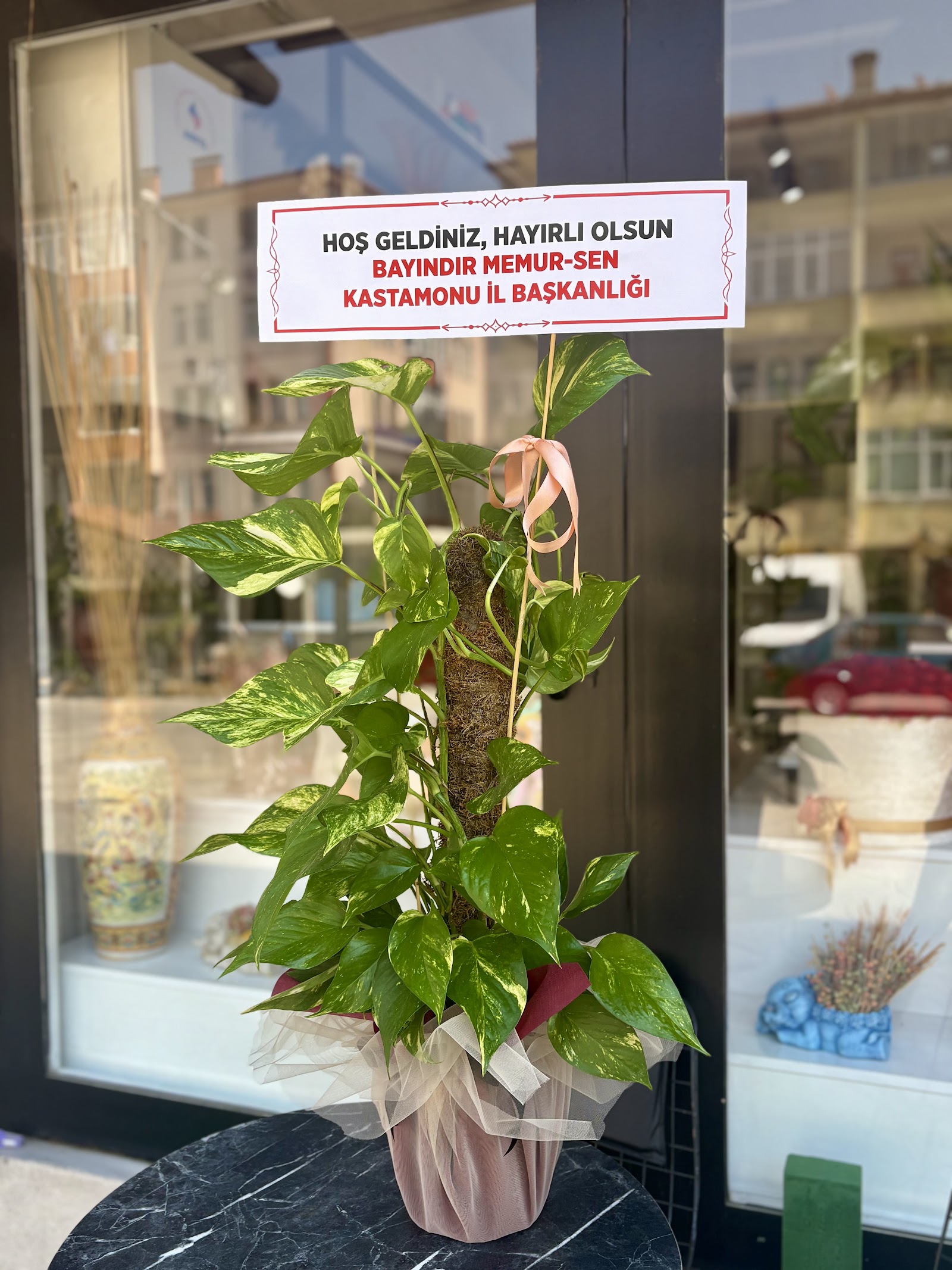 ÇİÇEKÇİM KASTAMONU