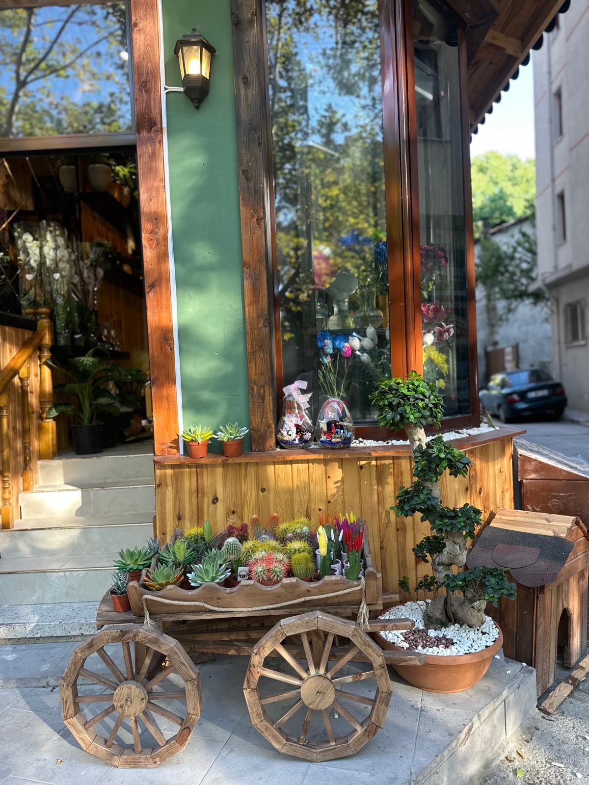 Köşedeki çiçekçi Kastamonu