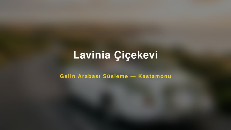 Lavinia Çiçekevi Gelin Arabası Süsleme Fiyatları — 1