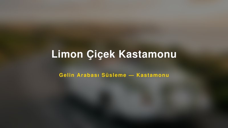 Limon Çiçek Kastamonu Gelin Arabası Süsleme Fiyatları — 1